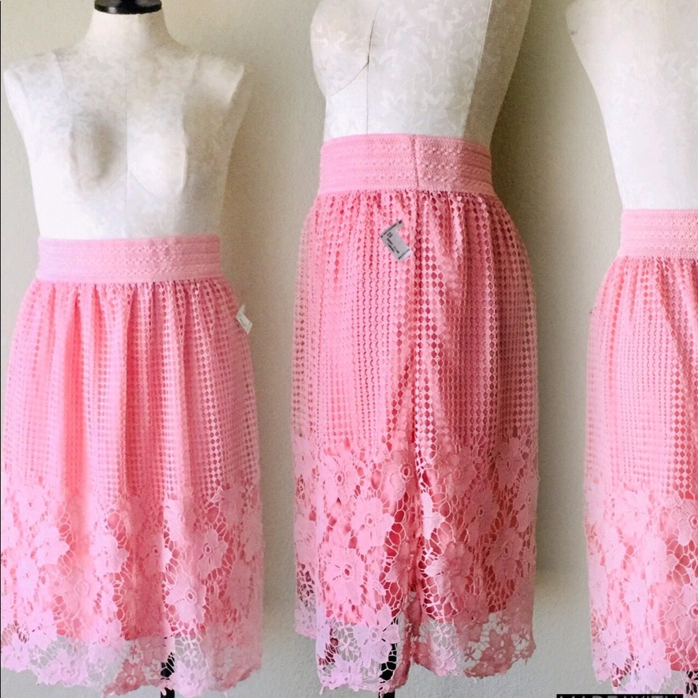 Pink Lace A line skirt size large NWT